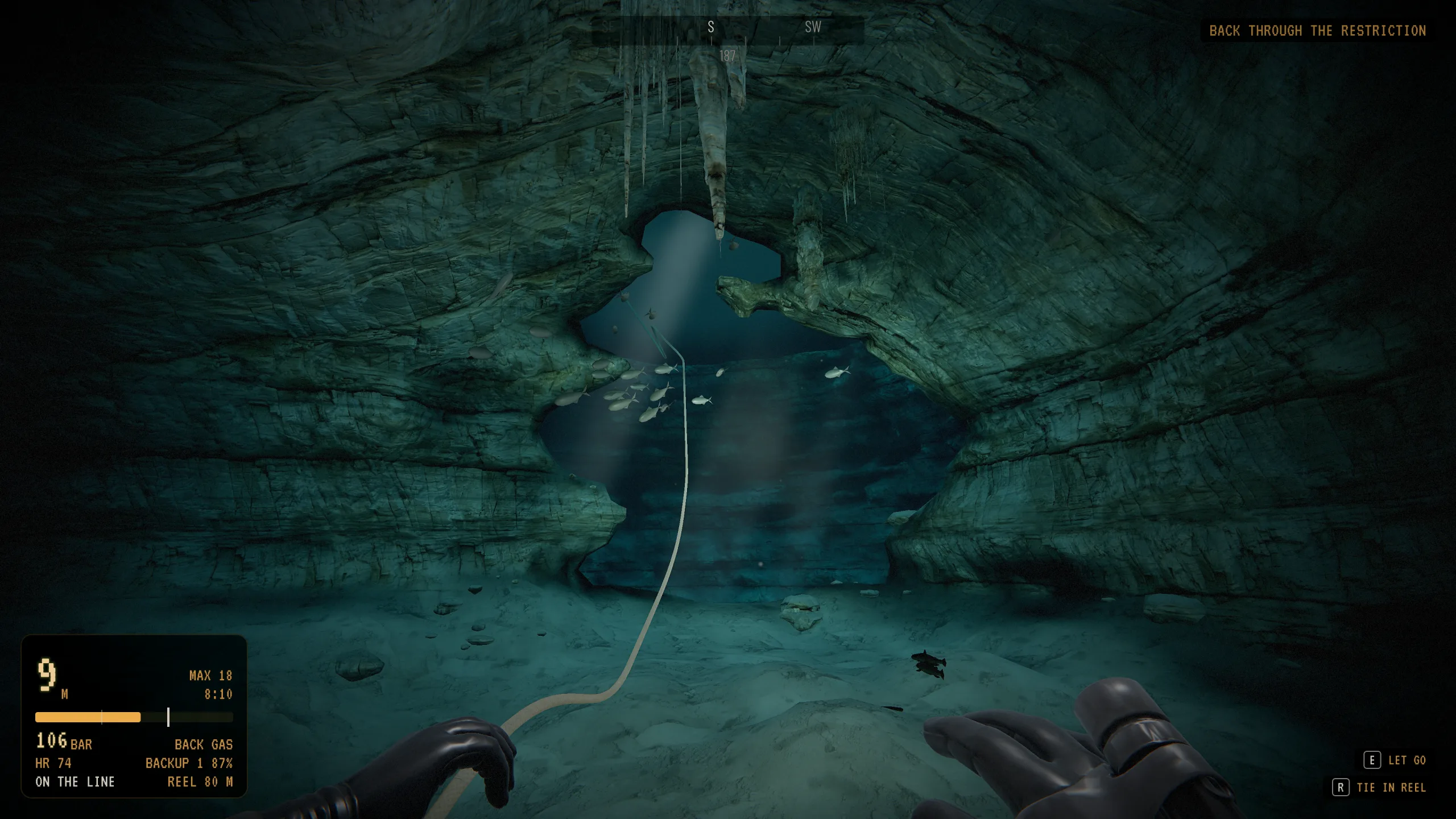 On the line beneath the cenote's light shafts