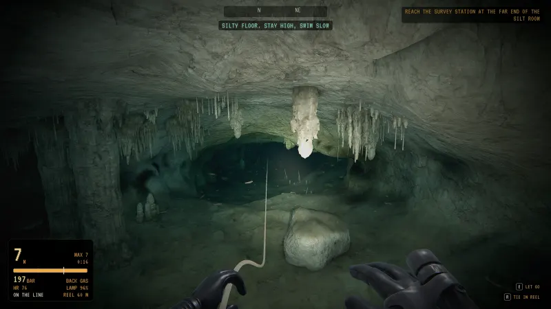 Stalactites above a silty floor